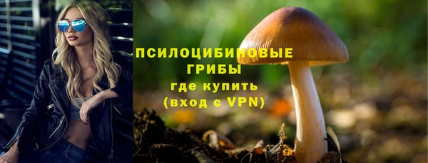 a pvp Коряжма