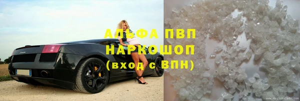 a pvp Коряжма